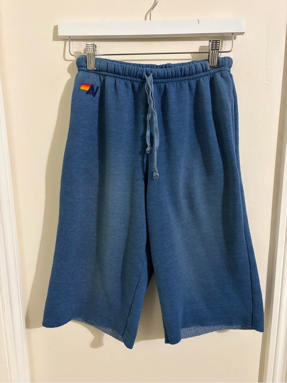 Aviator Nation Men’s Fleece Drawstring Shorts